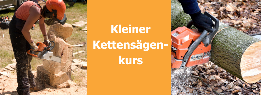 kleiner Motorsägenschein